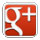 Google+